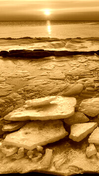 Sepia