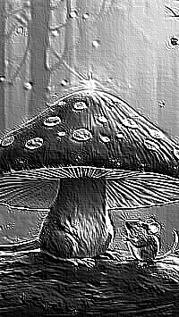 Skamielina