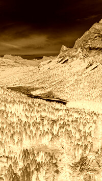 Sepia + Negatyw