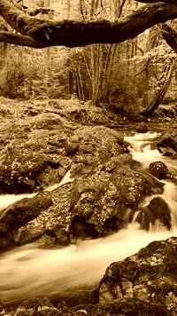 Sepia