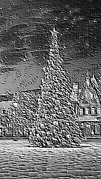 Skamielina
