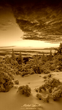 Sepia