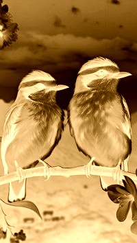 Sepia + Negatyw