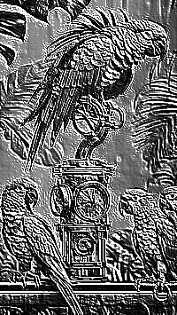 Skamielina