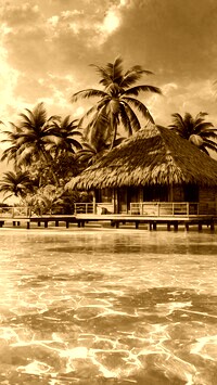 Sepia