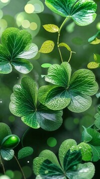Oryginalny obrazek