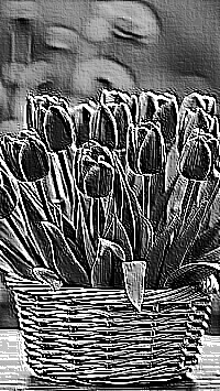 Skamielina