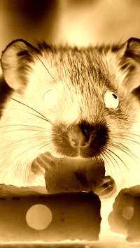 Sepia + Negatyw