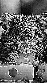 Skamielina