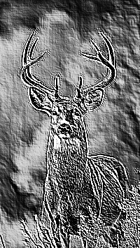 Skamielina