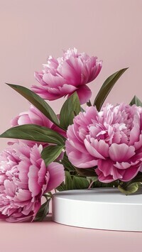 Oryginalny obrazek