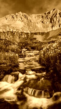 Sepia