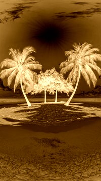 Sepia + Negatyw