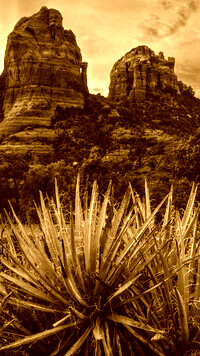 Sepia