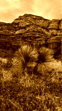 Sepia