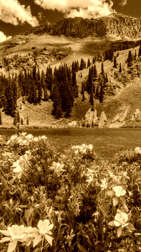 Sepia