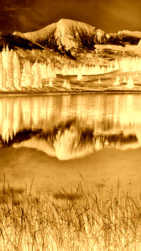 Sepia + Negatyw