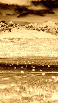 Sepia + Negatyw