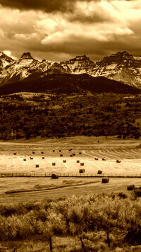 Sepia