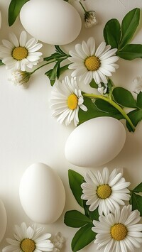 Oryginalny obrazek