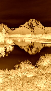 Sepia + Negatyw
