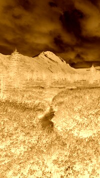 Sepia + Negatyw