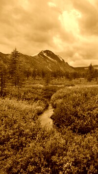 Sepia