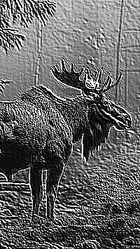 Skamielina