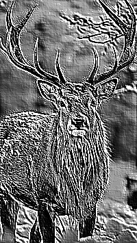 Skamielina