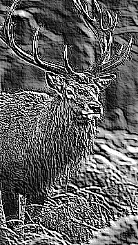 Skamielina