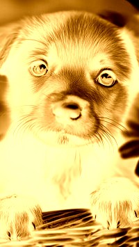 Sepia + Negatyw