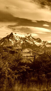 Sepia