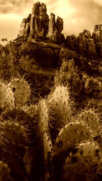 Sepia