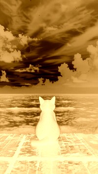 Sepia + Negatyw