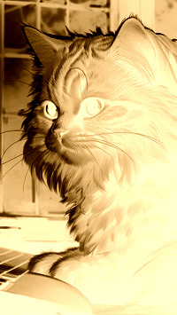 Sepia + Negatyw
