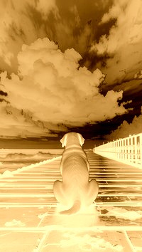 Sepia + Negatyw