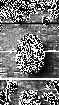 Skamielina