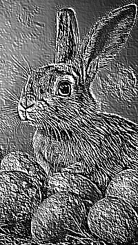 Skamielina