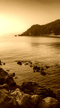 Sepia