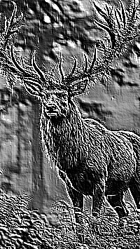 Skamielina