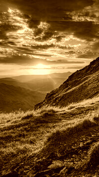Sepia