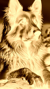 Sepia + Negatyw