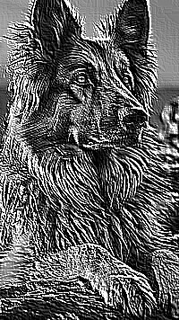 Skamielina