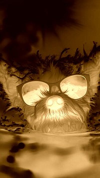 Sepia + Negatyw