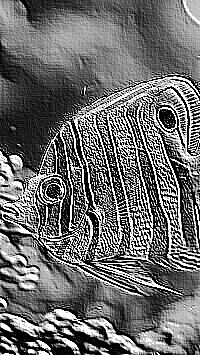 Skamielina