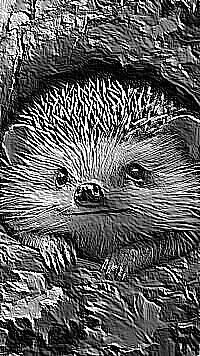 Skamielina
