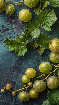 Oryginalny obrazek