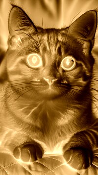 Sepia + Negatyw