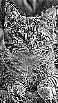 Skamielina