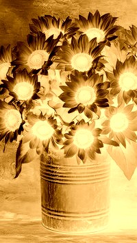 Sepia + Negatyw